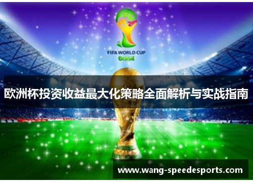 欧洲杯投资收益最大化策略全面解析与实战指南