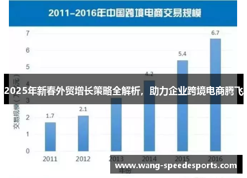 2025年新春外贸增长策略全解析，助力企业跨境电商腾飞