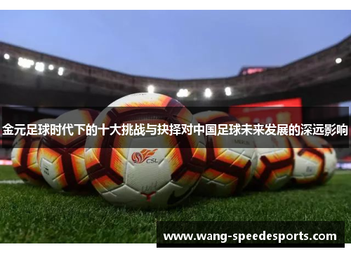 金元足球时代下的十大挑战与抉择对中国足球未来发展的深远影响