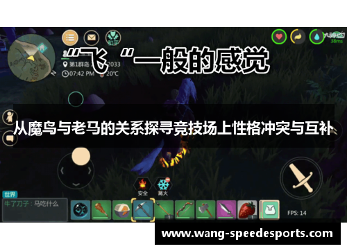 从魔鸟与老马的关系探寻竞技场上性格冲突与互补