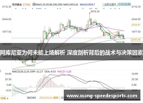 阿库尼亚为何未能上场解析 深度剖析背后的战术与决策因素